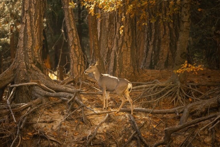 structured dataset association log