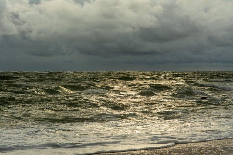 horizon surge strategic plan