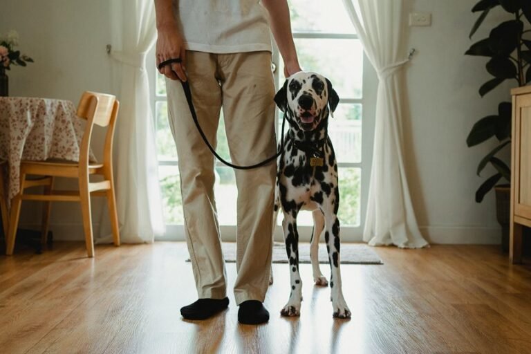 public caller tracking alerts